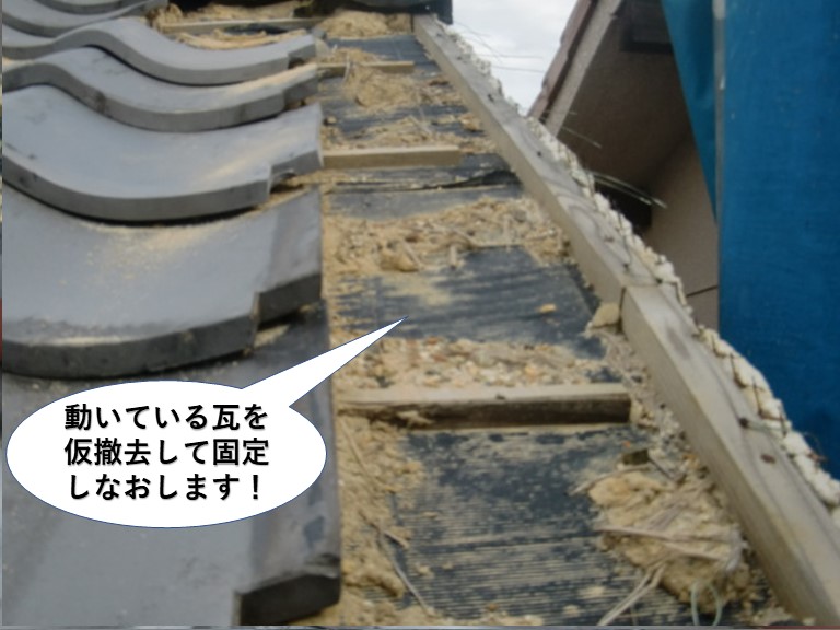 泉佐野市の動いている瓦を仮撤去して固定しなおします