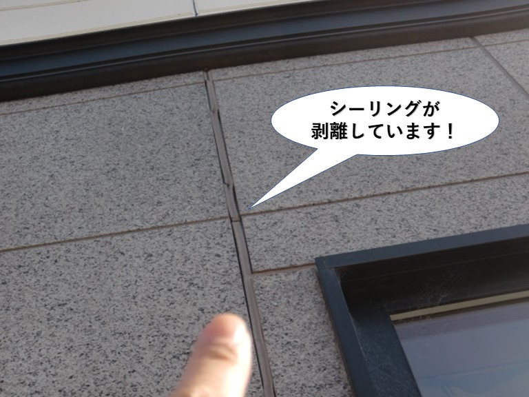 泉大津市の外壁のシーリングの剥離