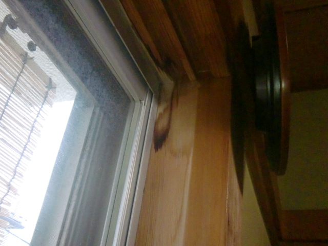阪南市の一階の和室の天井に雨漏り