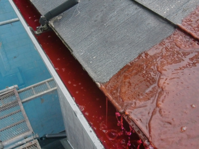 岸和田市尾生町のソーラーの水抜き