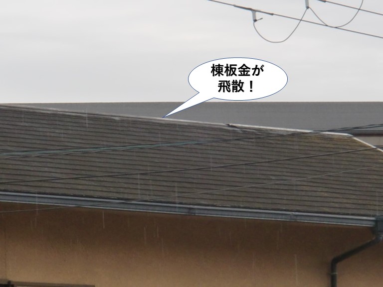 貝塚市の棟板金が飛散