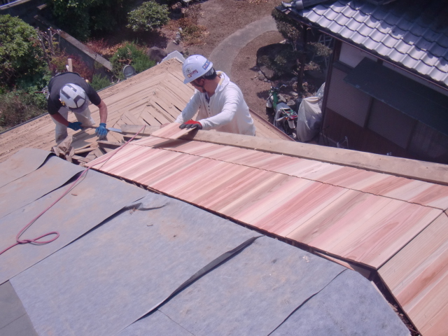 岸和田市土生町の杉の無垢材を張っています！