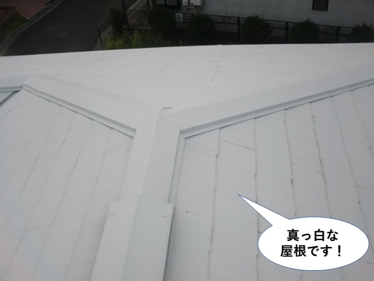 泉南市の真っ白な屋根です