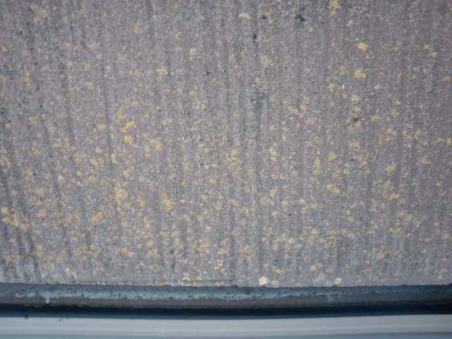 岸和田市西之内町の苔が生えた屋根瓦