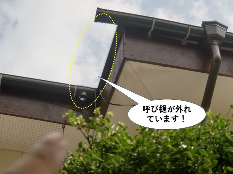 貝塚市の呼び樋が外れています