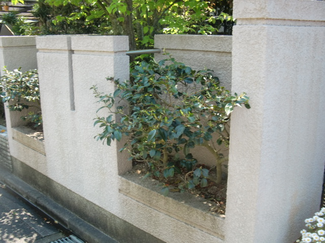 岸和田市天神山町の塀も洗浄