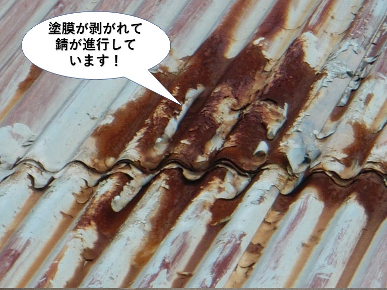 阪南市のトタン屋根の塗膜が剥がれて錆が進行しています