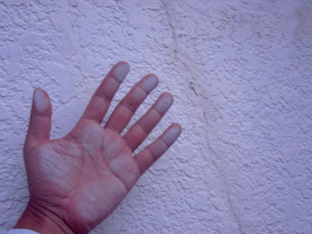 阪南市の雨漏りの現地調査/外壁調査