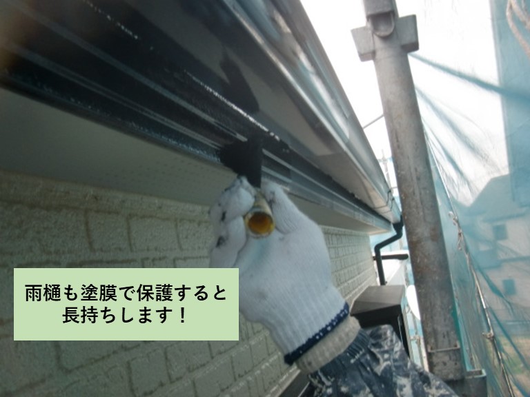 雨樋も塗膜で保護すると長持ちします