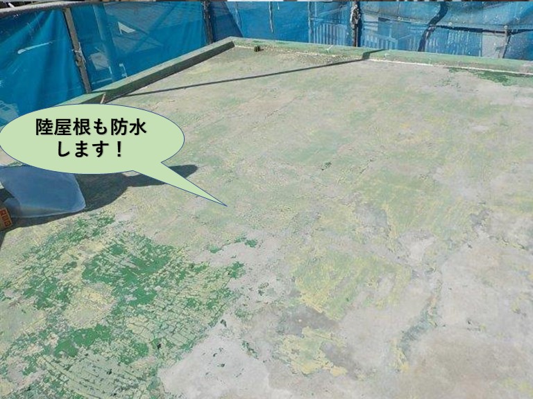 泉佐野市の陸屋根も防水