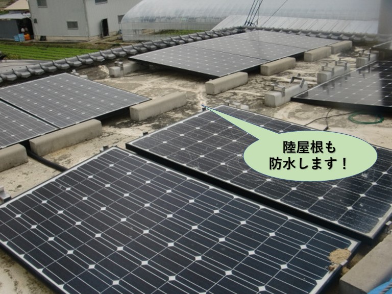 泉大津市のガレージの陸屋根も防水
