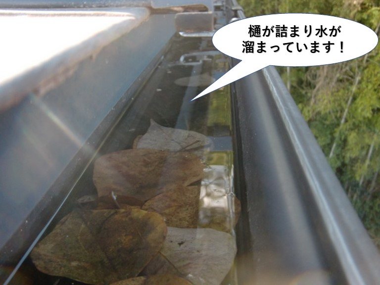 高石市の樋が詰まり水が溜まっています