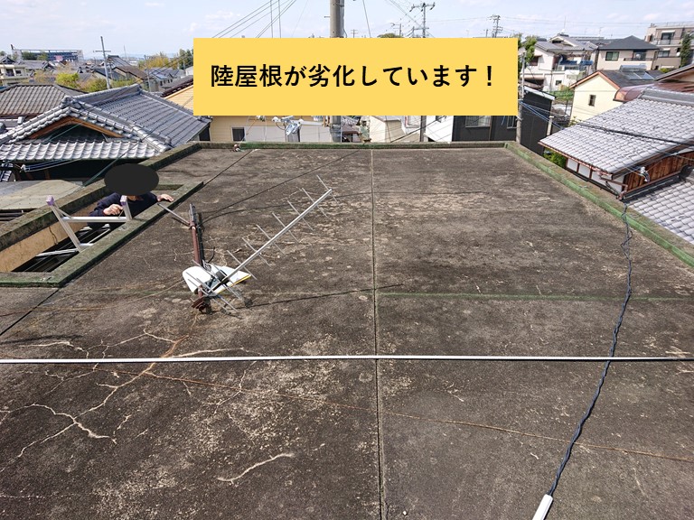 和泉市の陸屋根が劣化しています
