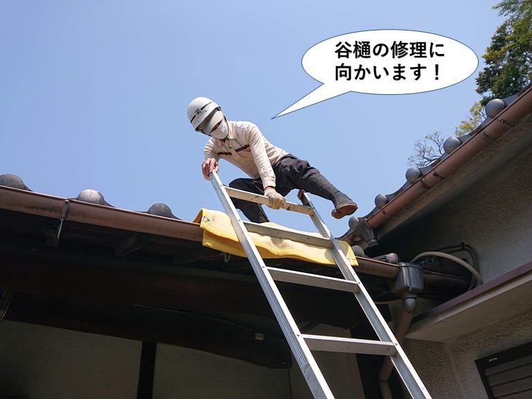 岸和田市の谷樋の修理に向かいます