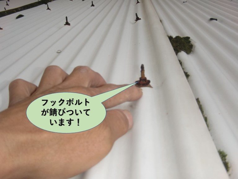 岸和田市の波板のフックボルトが錆びついています