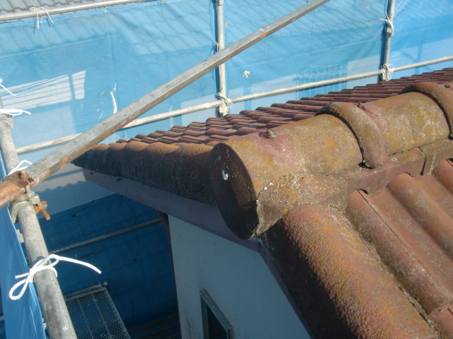 岸和田市天神山町のセメント瓦の屋根現況・苔