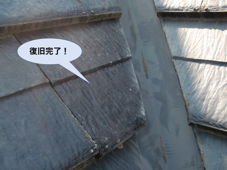 忠岡町の谷の際の瓦復旧完了