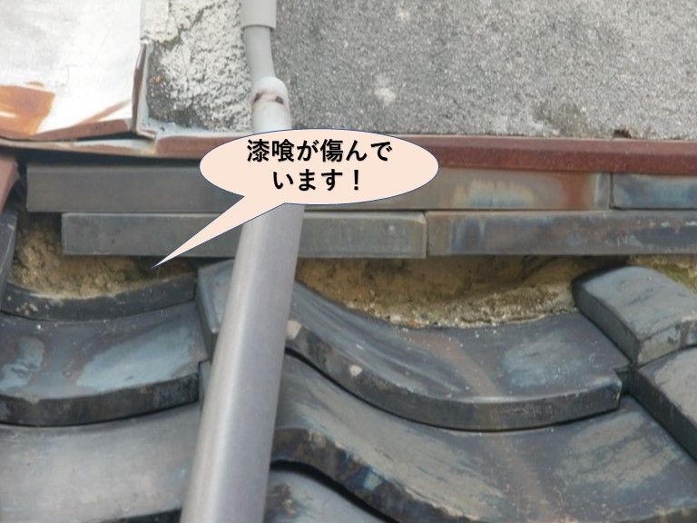 岸和田市中町のトイレ真上の下屋調査