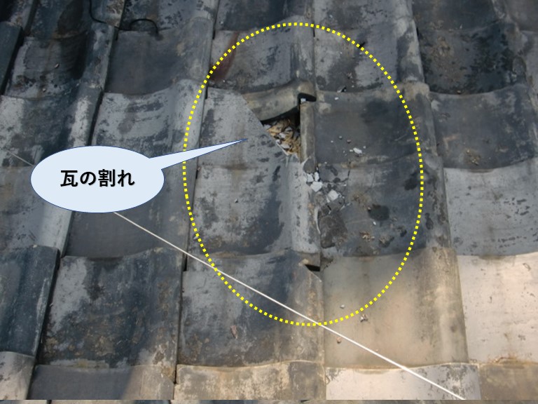 岸和田市の瓦の割れ