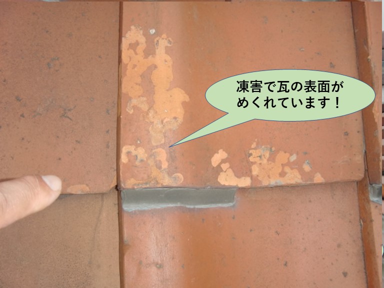 岸和田市の屋根で凍害で瓦の表面がめくれています