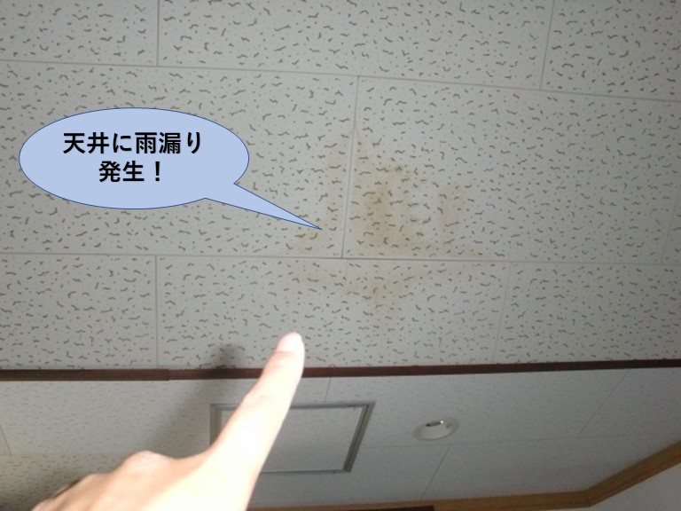 岸和田市の二階の天井に雨漏り発生