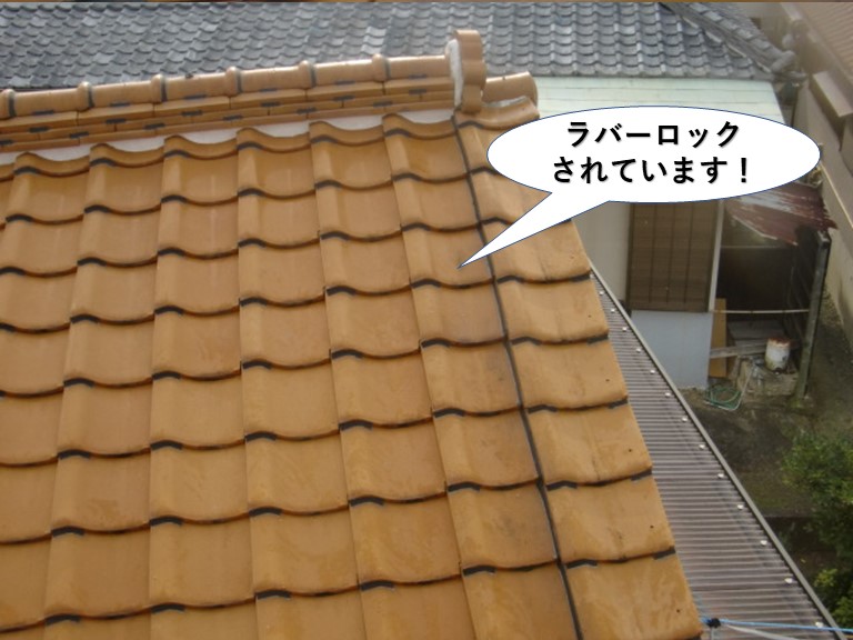泉南市の瓦をラバーロックされています