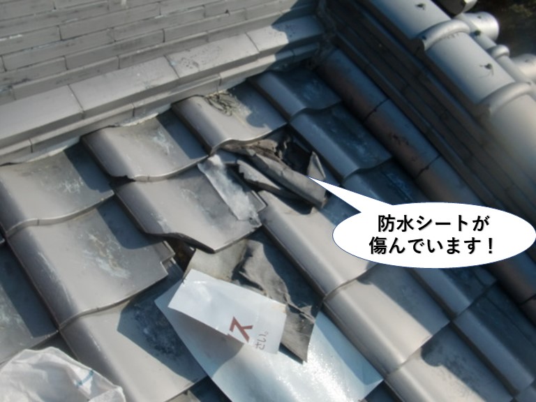 阪南市の応急処置の防水シートが傷んでいます