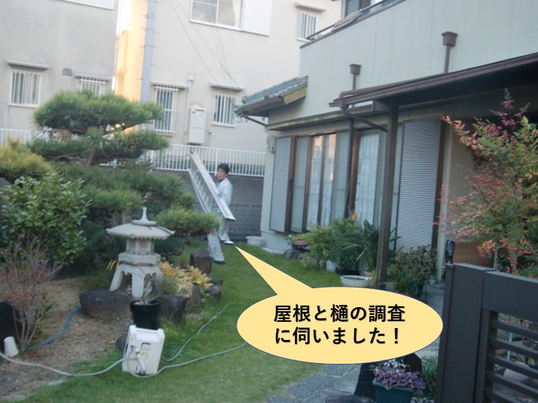 泉南市の屋根と樋の調査