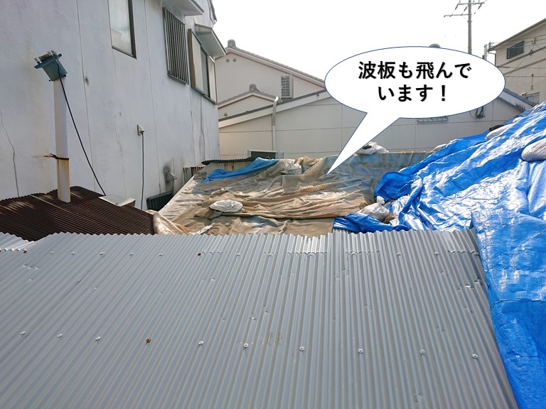 貝塚市の波板も飛んでいます