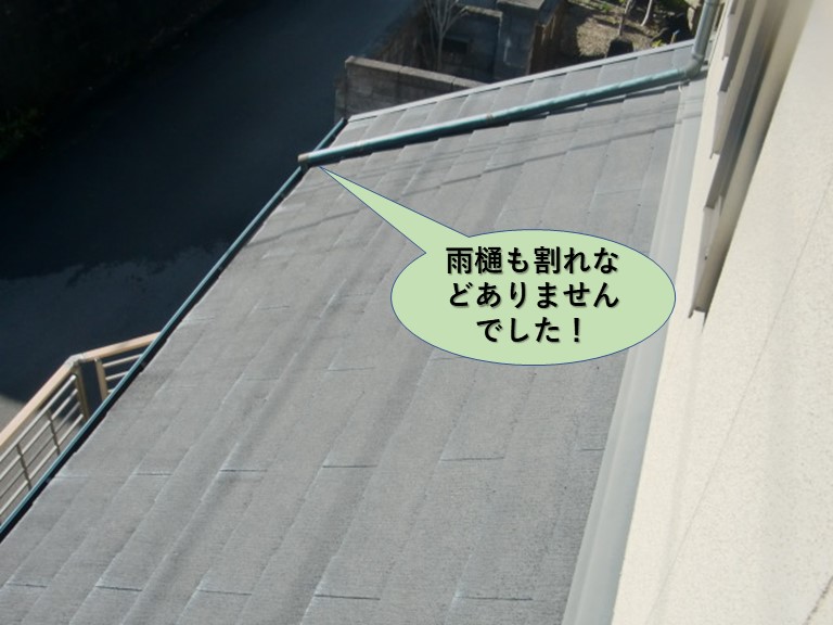 阪南市の雨樋も割れなどはありませんでした
