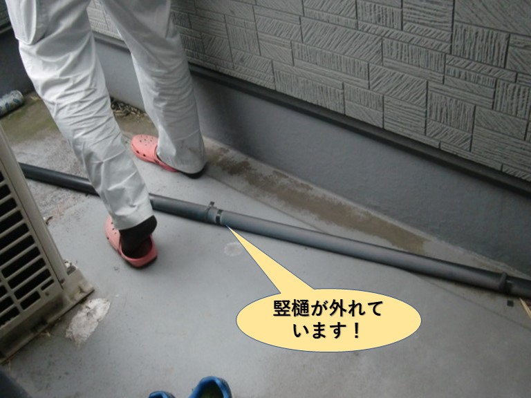 貝塚市の竪樋が外れています