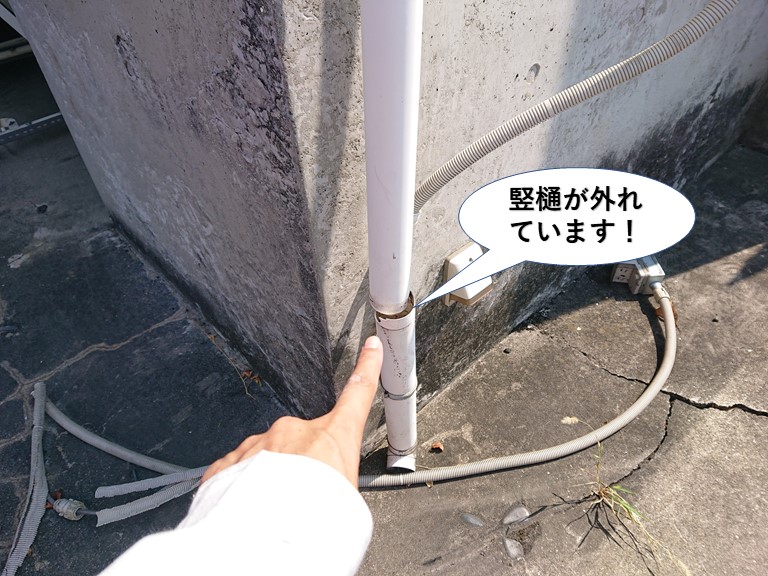 泉大津市の竪樋が外れています