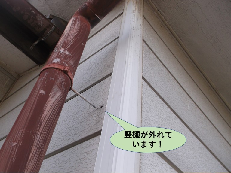 岸和田市の竪樋が外れています