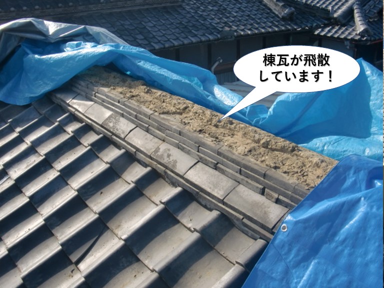 和泉市の母屋の棟瓦が飛散