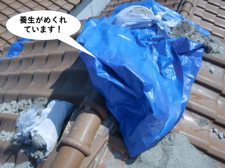 和泉市の養生がめくれています