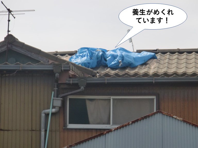 泉佐野市の養生がめくれています