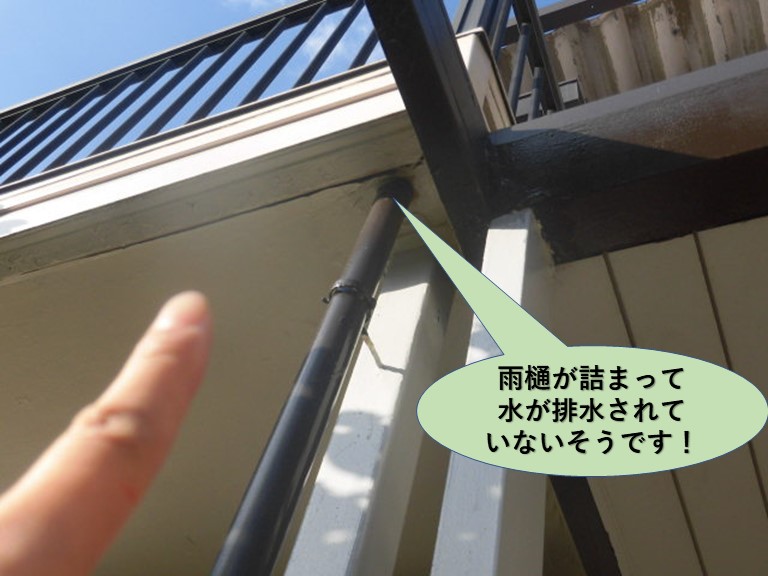 岸和田市の雨樋が詰まって水が排水されていないそうです！