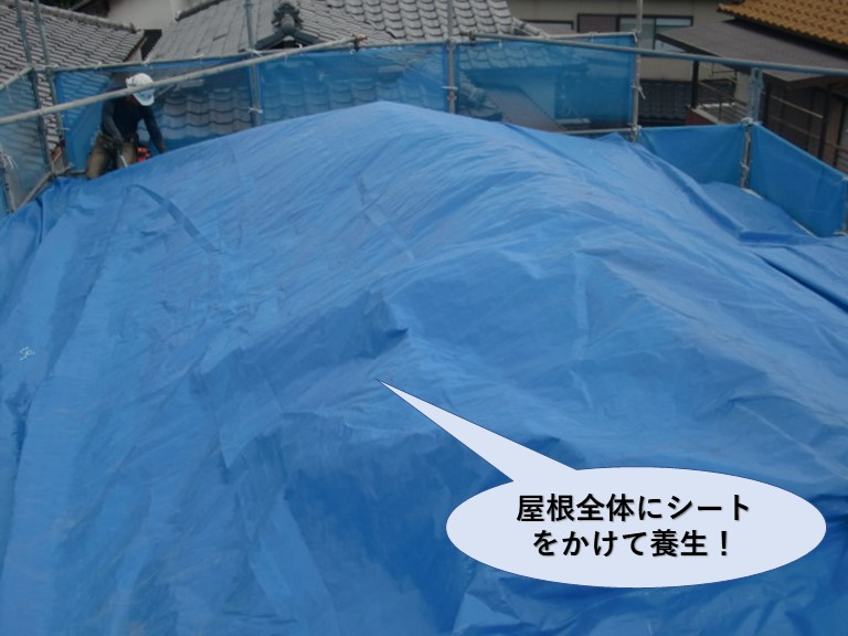 岸和田市の屋根全体のシートをかけて養生
