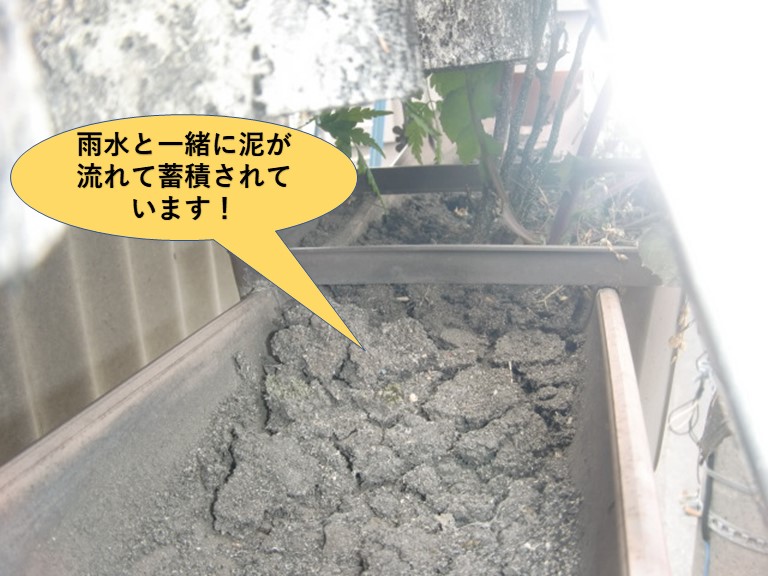 和泉市の工場の安堵いいに雨水と一緒に泥が流れて蓄積されています！