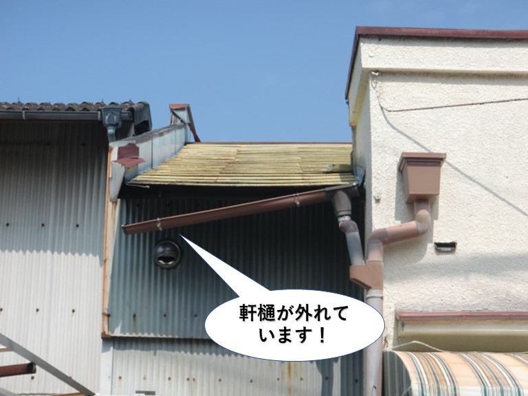 熊取町の軒樋が外れています