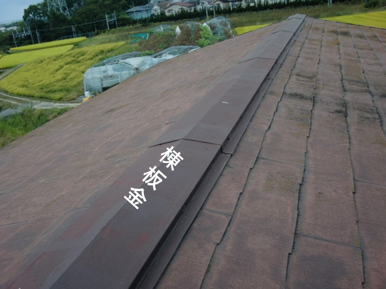 貝塚市の棟板金