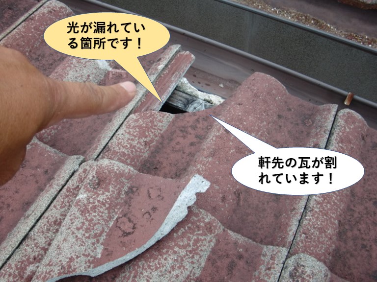 忠岡町の軒先の瓦が割れています