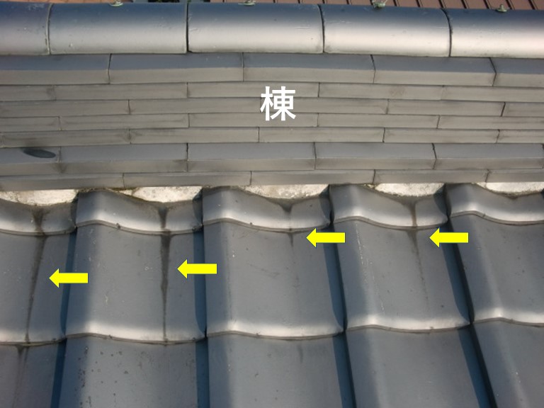 貝塚市の棟の内側に雨水が入った形跡があります