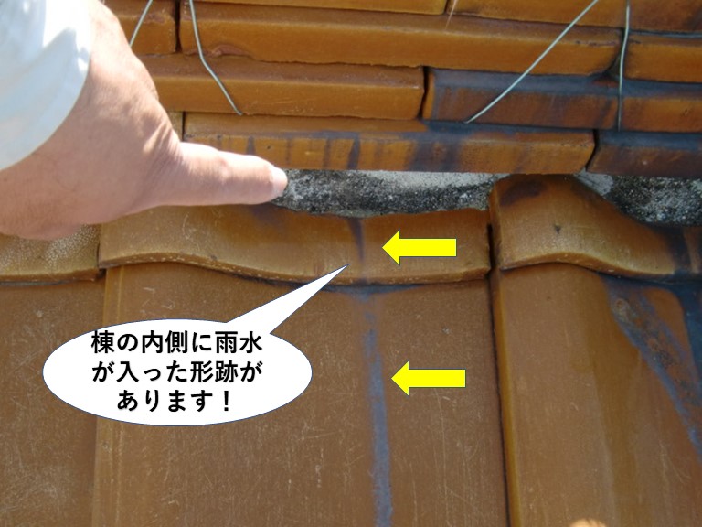 熊取町の棟の内側に雨水が入った形跡があります