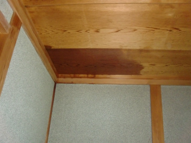 岸和田市の家の玄関天井に雨みずが、相当侵入してるな