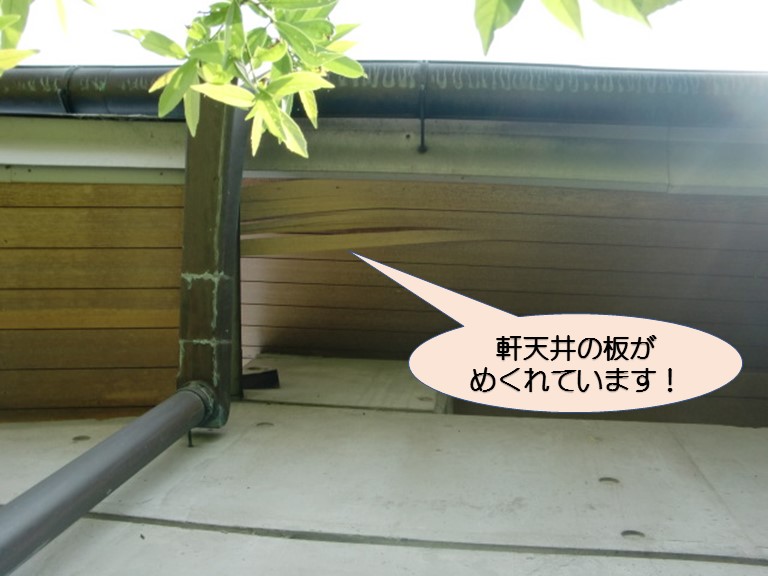 岸和田市土生町の軒天井板のめくれ