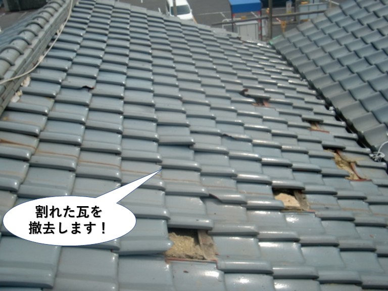 和泉市の割れた瓦を撤去します