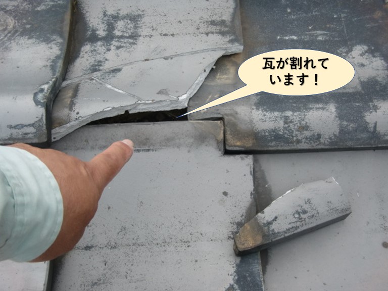 貝塚市の瓦が割れています