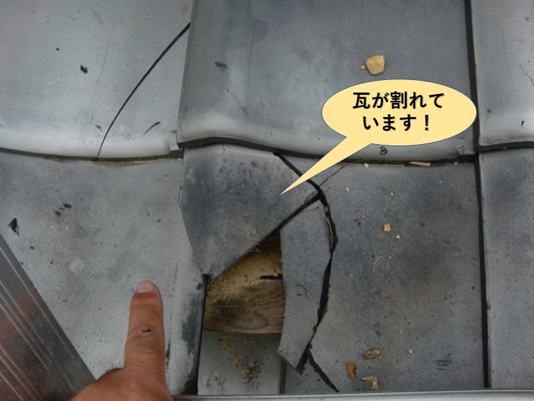 貝塚市の瓦が割れています