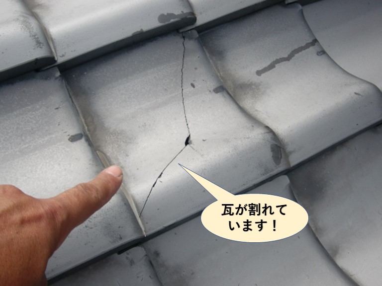 泉南市の瓦が割れています